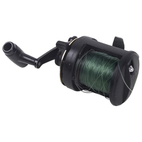 Shimano TLD 10 Fishing Reel