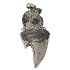 Ammonite, Sterling Silver and Shark Tooth Pendant