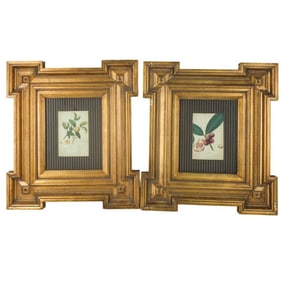 Pair of Framed Botanical Prints