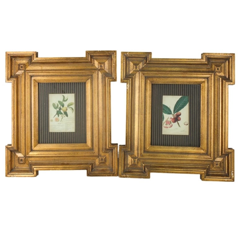 Pair of Framed Botanical Prints (1 of 3)