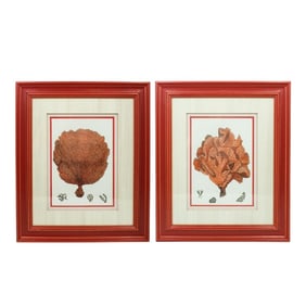 Pair of Framed Red Coral Prints