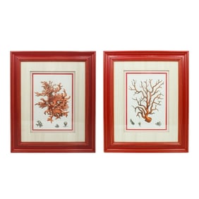 Pair of Framed Red Coral Prints