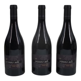 (3) Penner-Ash 2022 Willamette Valley Pinot Noir