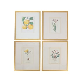 Set of 4 Vintage Framed Botanical Prints
