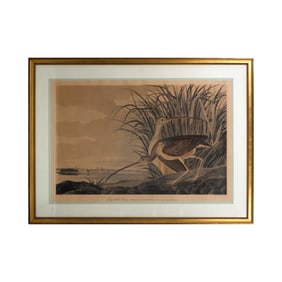 Antique Audubon Print "Long Billed Curlew"