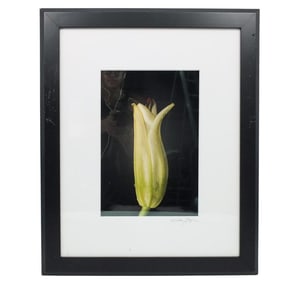 Katherine Morgan (20th Century)