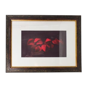 Katherine Morgan (20th Century)