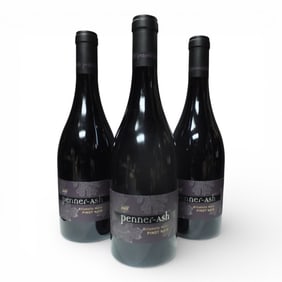 (3) Penner-Ash 2022 Willamette Valley Pinot Noir