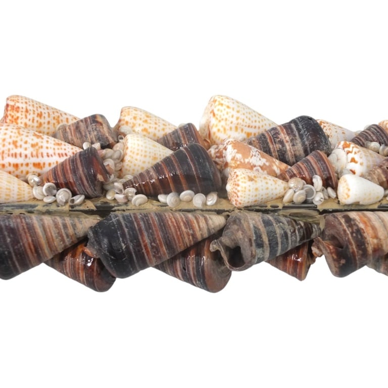 Shell Encrusted Mirror - 3