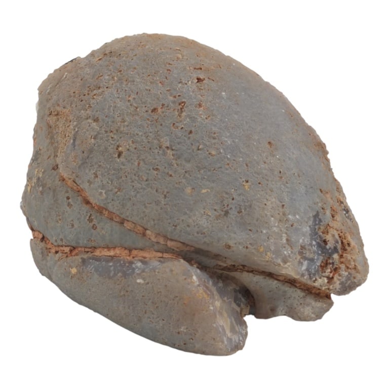 Polished Natural Agate Geode Specimen - 5