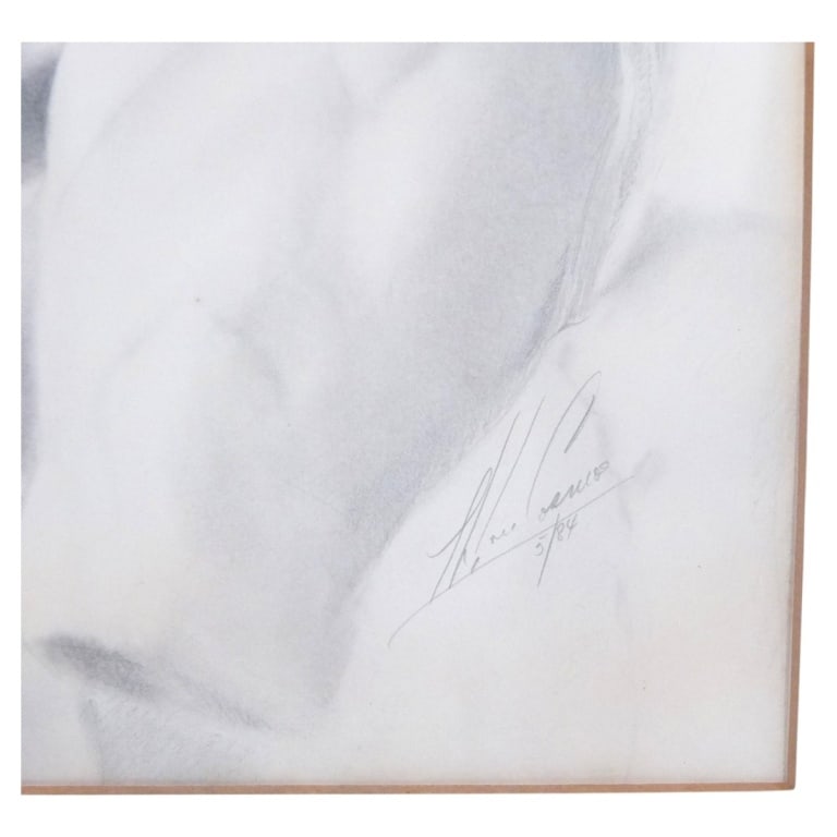 Signed Graphite on Paper "Belvedere Torso" - 3