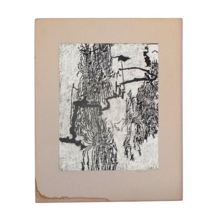 Walter Tschinkel Contact Print "Bark Beetle": Walter R. Tschinkel (born 1940) Contact Print of rubbings made on tracing paper. "Elm Bark Beetle Egg Galleries" 1969. See affixed letter for clarification of the subject and the process. Print