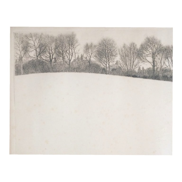 Richard Volpe Engraving "Divide" - 2