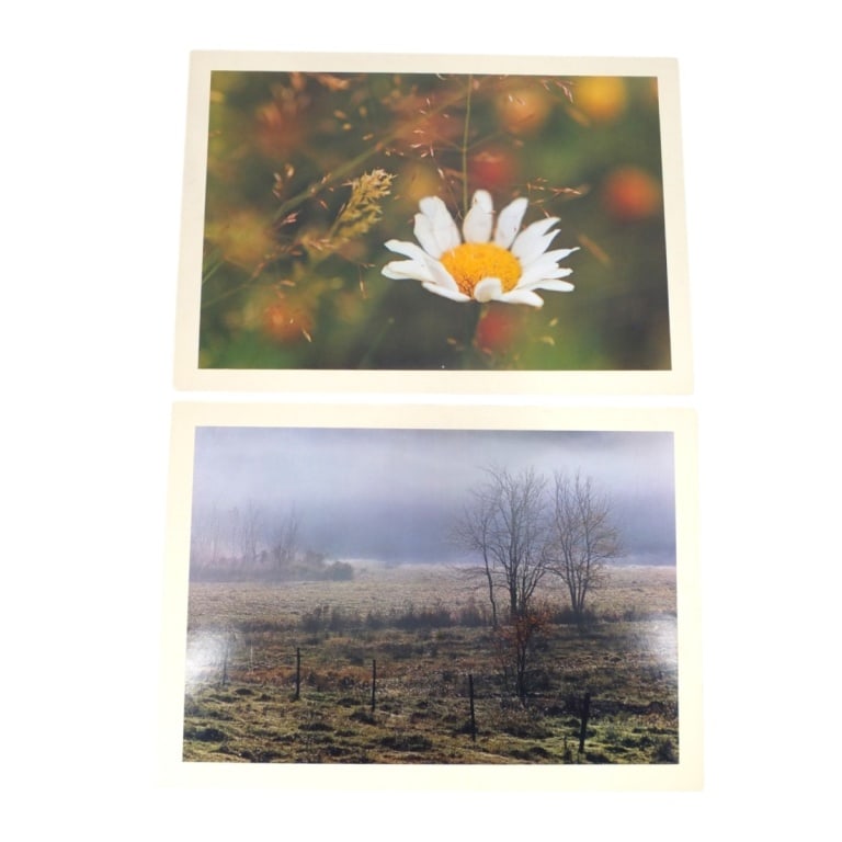 Daniel Farber 2 Photographs, 1971 (1 of 9)