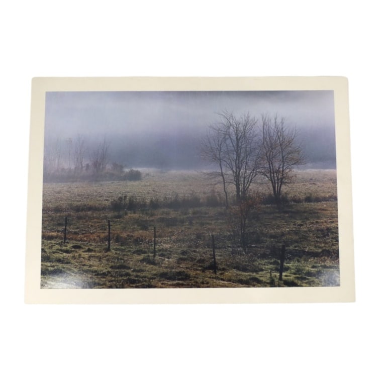 Daniel Farber 2 Photographs, 1971 - 2
