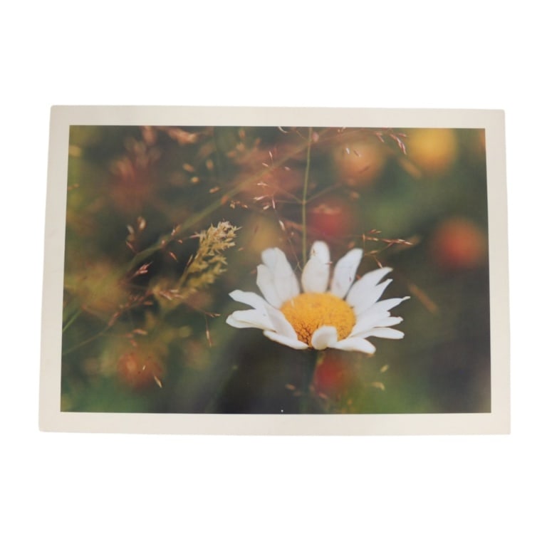 Daniel Farber 2 Photographs, 1971 - 3