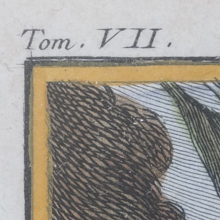 Hand Colored Engraving "Le Bonnet Chinois" - 3