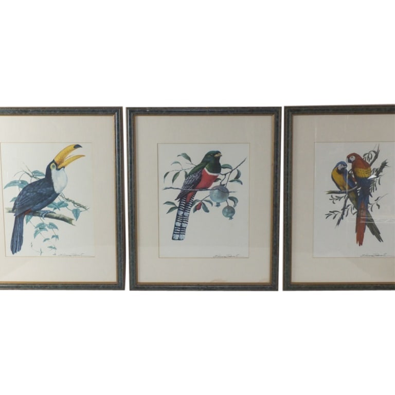 Etienne Demonte, Three Botanical Bird Prints (1 of 5)