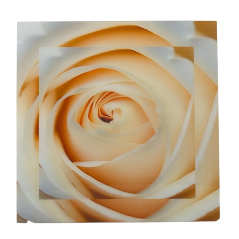Decorative Photographic Wall Art "Swirl Rose": Decorative Photographic Wall Art "Swirl Rose". Under acrylic. Unsigned. Measures 23-1/2" x 23-1/2". Condition: Some wear or in good condition. Estimate 50 - 100 Domestic shipping Third Party