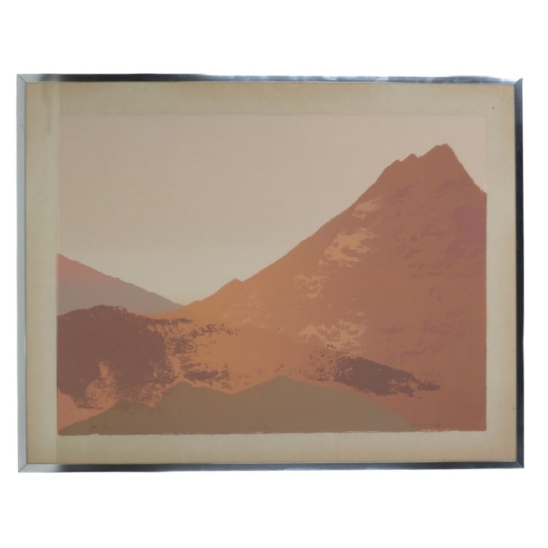 Mid Century Color Lithograph "Mountain Landscape": Mid Century Color Lithograph "Mountain Landscape "(Olympus Graphics). Pencil signed illegibly and dated '78. Framed and presented under glass screen. Measures 22-1/2" x 30, frame measures 28" x