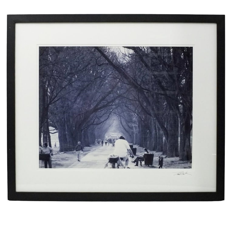 Signed Silver Gelatin Print: Silver Gelatin Print "Central Park" Signed Lower Right. Sight measures 15-1/4" x 19-1/2". Frame measures 23-5/8" x 27-5/8". Condition: Good condition. Estimate 50 - 150 Domestic shipping Third party