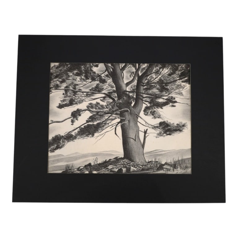 John C Menihan Etching "Lone Pine" (1 of 4)