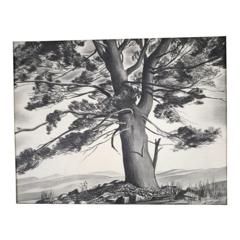 John C Menihan Etching "Lone Pine" - 2
