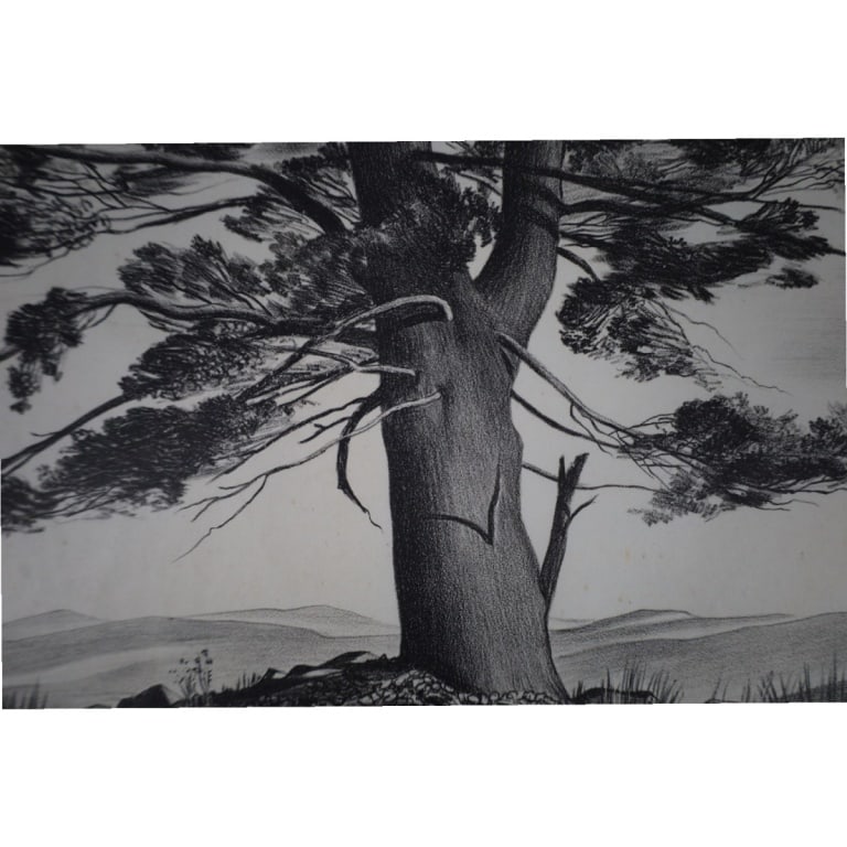 John C Menihan Etching "Lone Pine" - 3