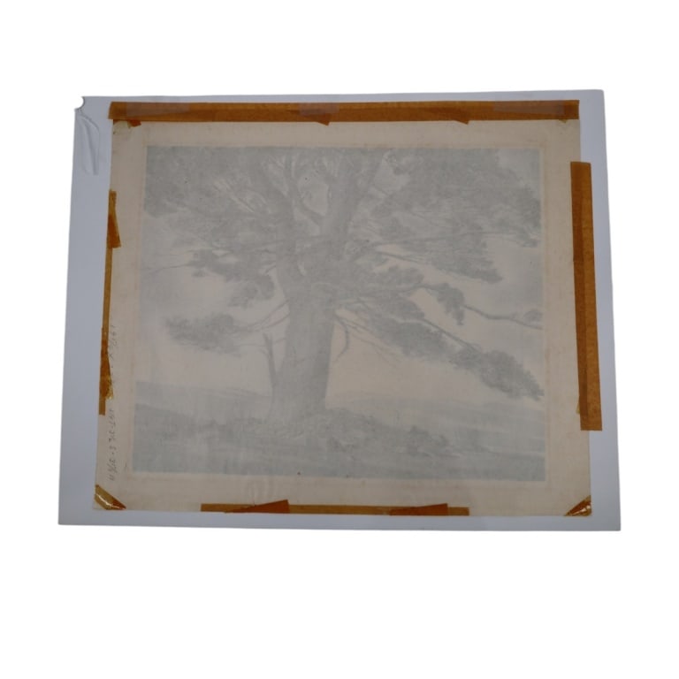 John C Menihan Etching "Lone Pine" - 4