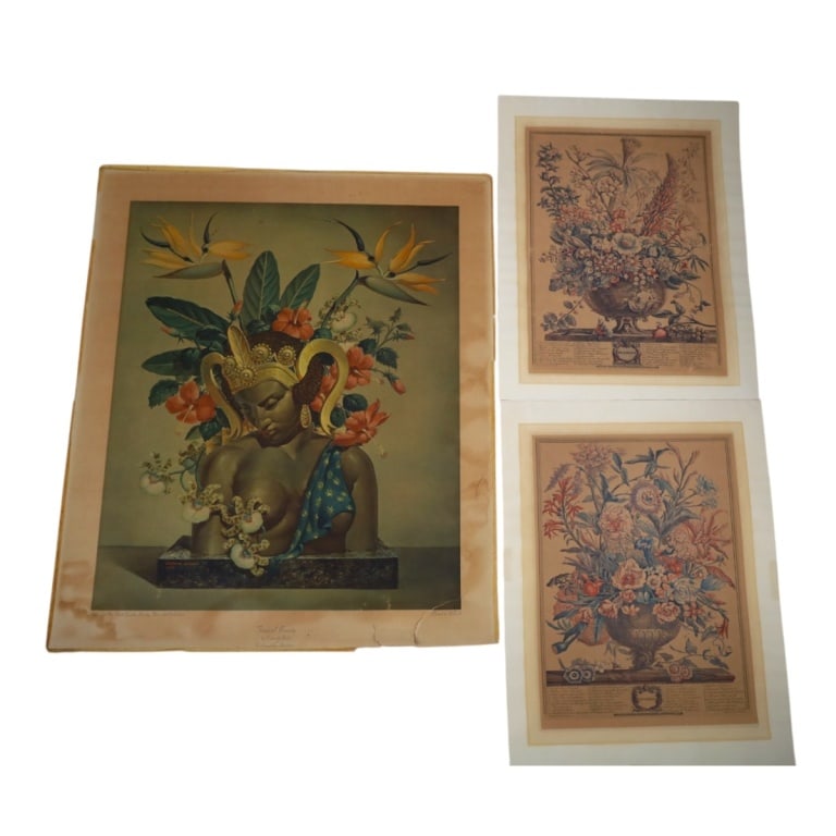 Cosmo De Salvo Art Print & 2 Botanicals (1 of 6)
