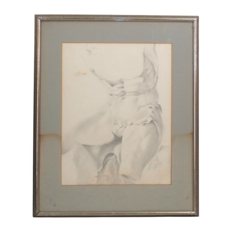Signed Graphite on Paper "Belvedere Torso": Vintage Continental School Graphite on Paper "Belvedere Torso". Signed illegibly and dated 5/84 lower right. Framed and presented under glass. Measures 15-1/4" x 12", frame 22-1/8" x 18-1/8". Conditio