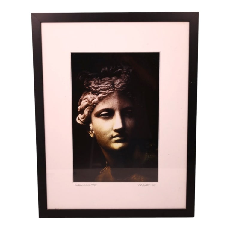 Richard Bluestein Photograph "Goddess Series" Sgnd: Richard Bluestein (Florida 20/21st C) Color Photograph "Goddess Series #027" Signed, titled, dated '05, artists label verso. Framed under glass. Measures 17-1/2" x 11-1/2" (sight), frame 27-3/4" x 21-