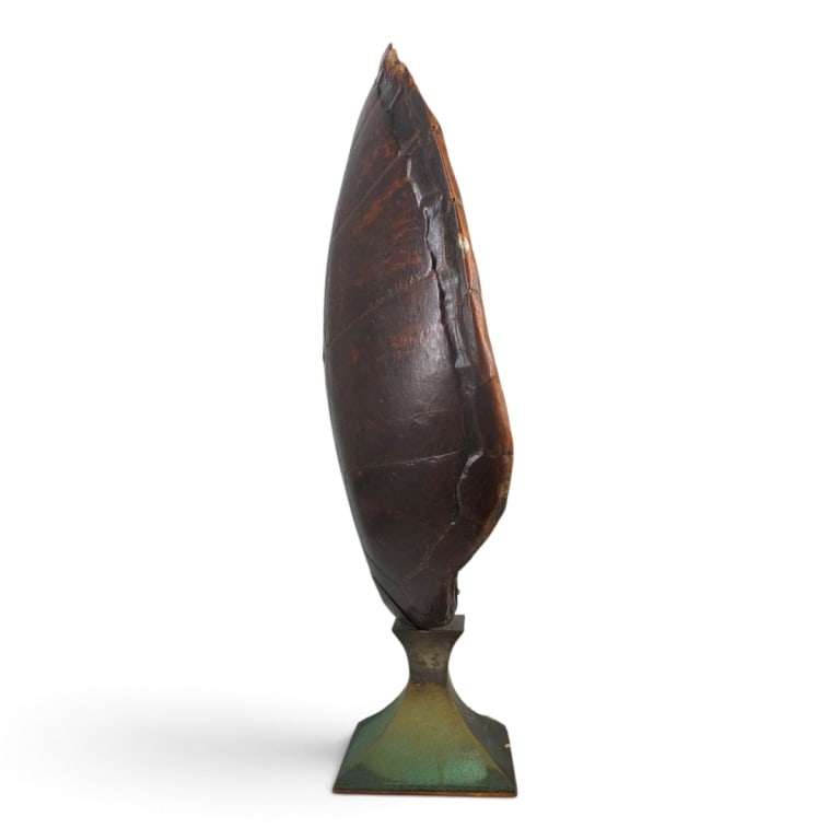 HUGE Antique Turtle Carapace Shell Lamp - 3