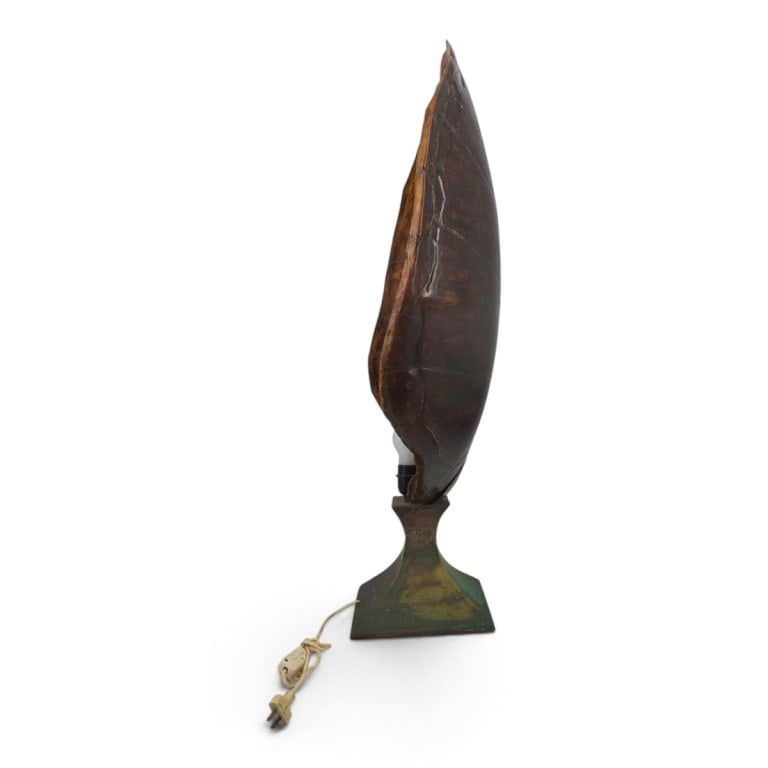 HUGE Antique Turtle Carapace Shell Lamp - 4