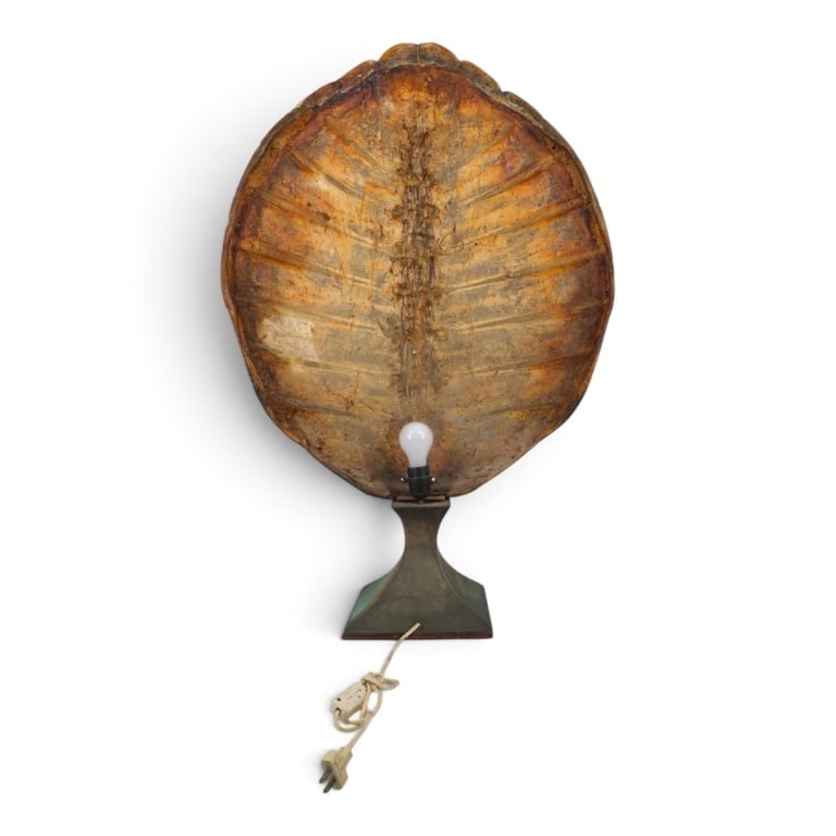 HUGE Antique Turtle Carapace Shell Lamp - 5