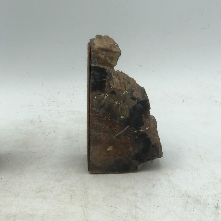 PETRIFIED WOOD BOOK ENDS (1 of 7)