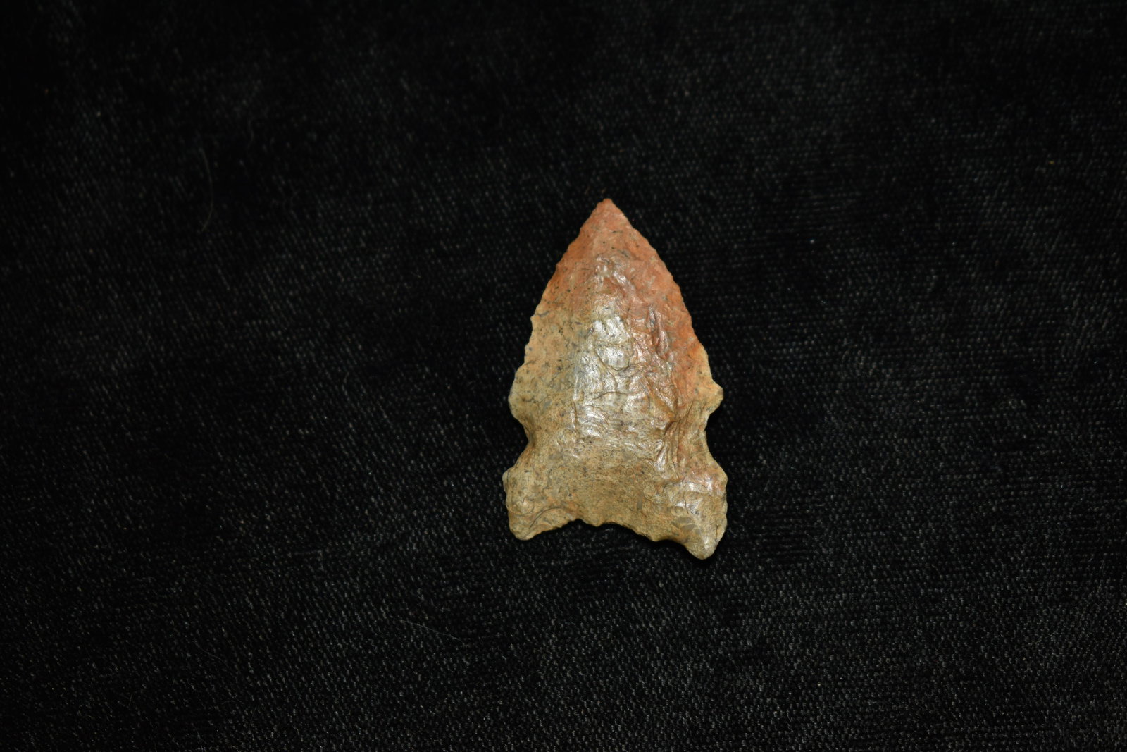1 1/2" Graham Cave: 1 1/2" Graham Cave found by Giles Sailer in Knox County Illinois. Ancient Arrowhead Indian Artifact