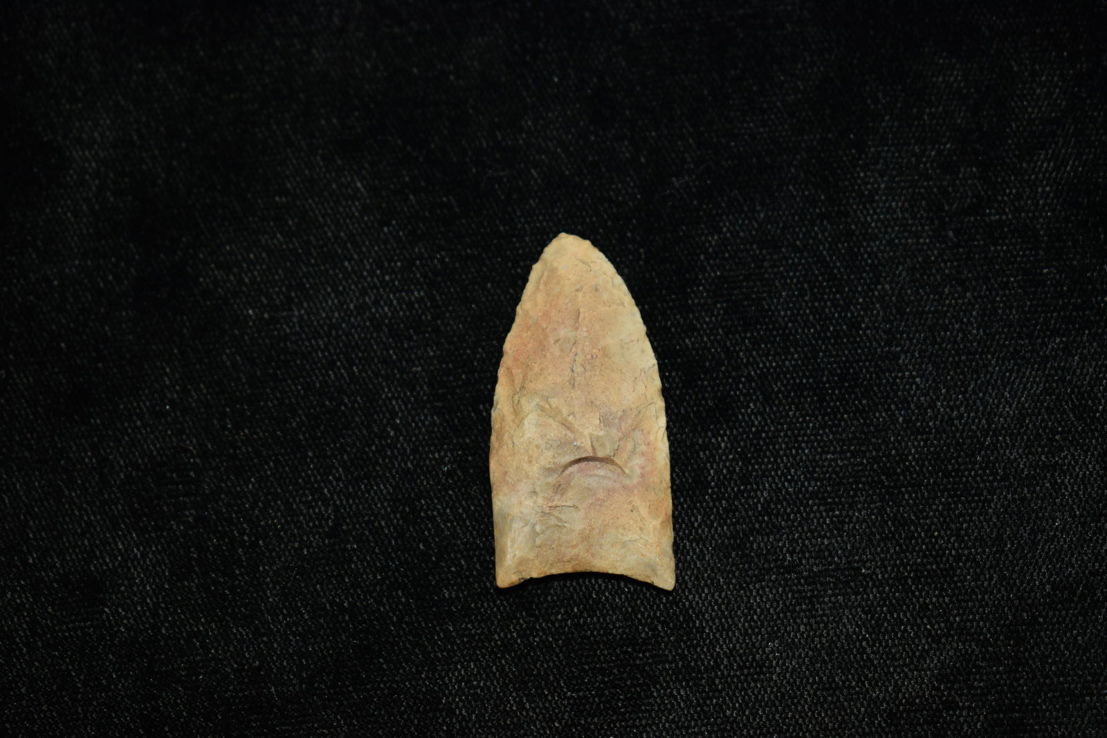 1 1/2" Plainview or Paleo Point: 1 1/2" Plainview or Paleo Point found by Giles Sailer in Knox County Illinois. Ancient Native American Arrowhead Indian Artifact