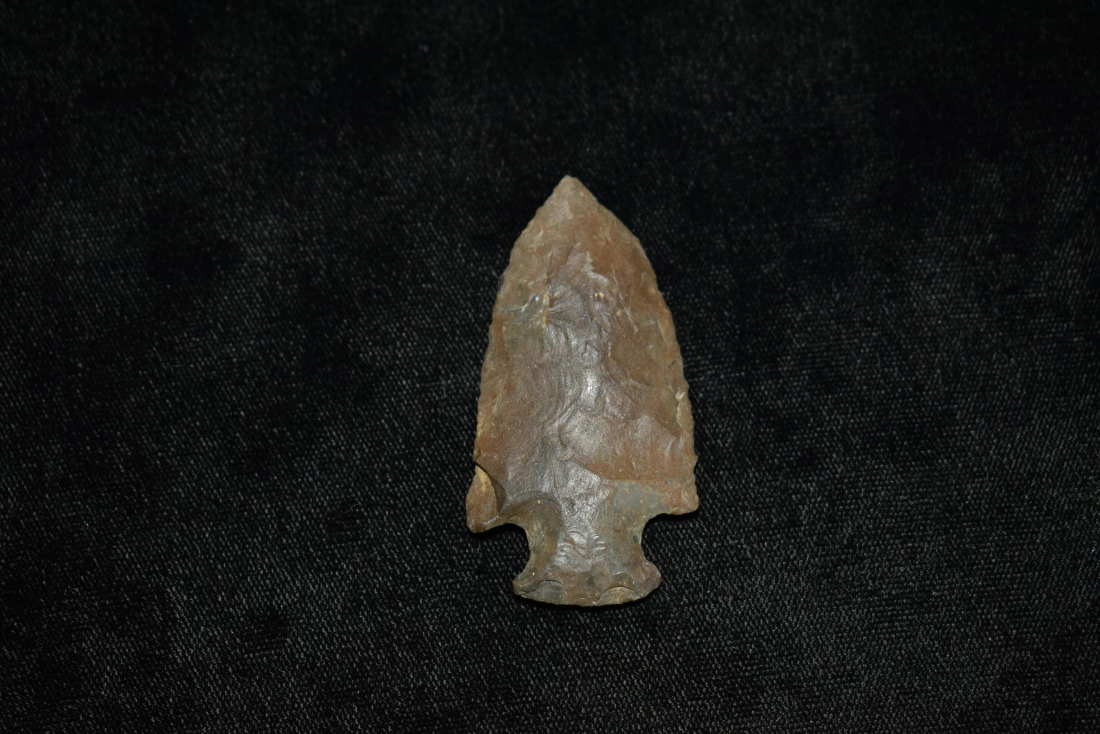 2 1/4" Gibson Arrowhead: 2 1/4" Gibson Arrowhead found by Giles Sailer in Knox County Illinois. Ancient Native American Arrowhead Indian Artifact