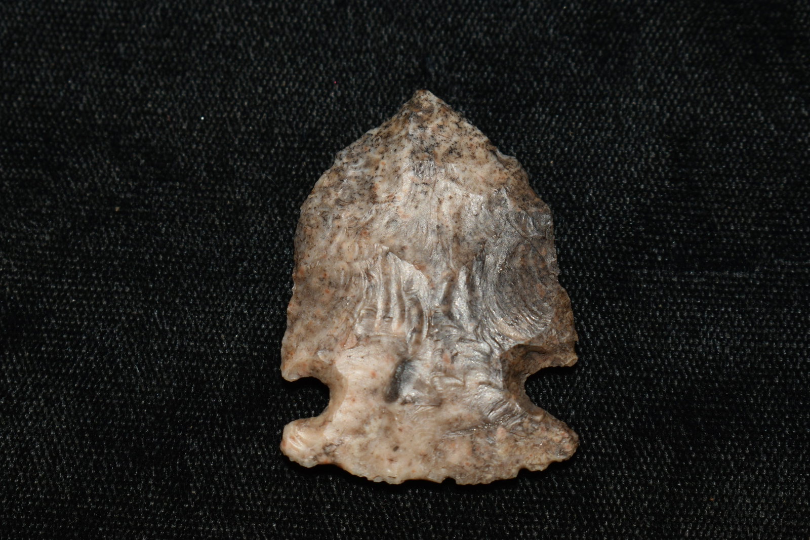 1 5/8" Superb Gibson: 1 5/8" Superb Gibson found in Denton County Missouri by members of the Martin Hart family. Ancient Authentic Native American Artifact Arrowheads