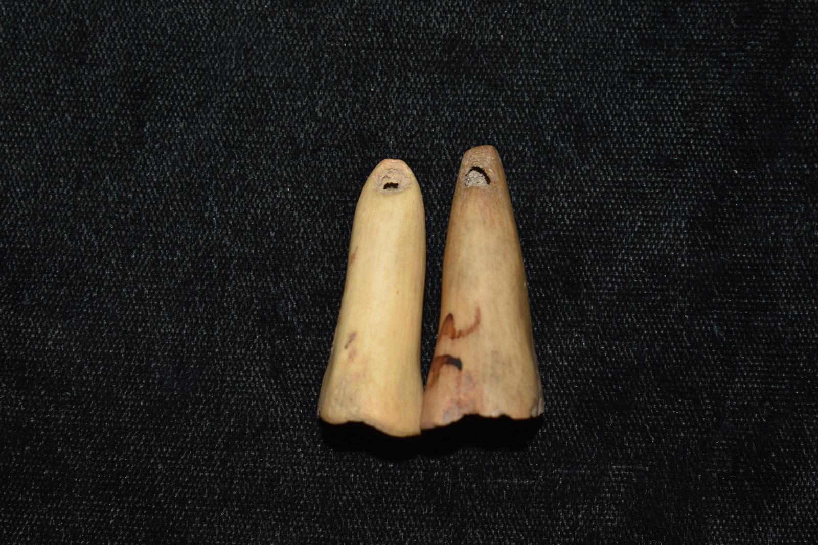 2 Cone Beads: 2 Cone Beads found in Denton County Missouri by members of the Martin Hart family. This style of bead was meant to slide one inside the next to form one continuous necklace which would not show the st