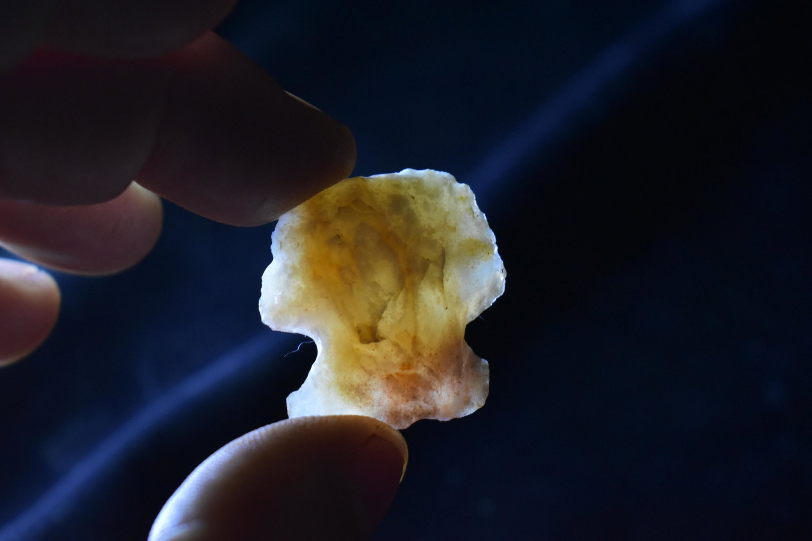1 1/4" Translucent Flint Ridge Woodland Blunt: 1 1/4" Translucent Flint Ridge Woodland Blunt found in Warren County, Ohio by James Miracle. James hunted sites about one mile from the famous Fort Ancient Site. Ancient Arrowhead Indian Artifact