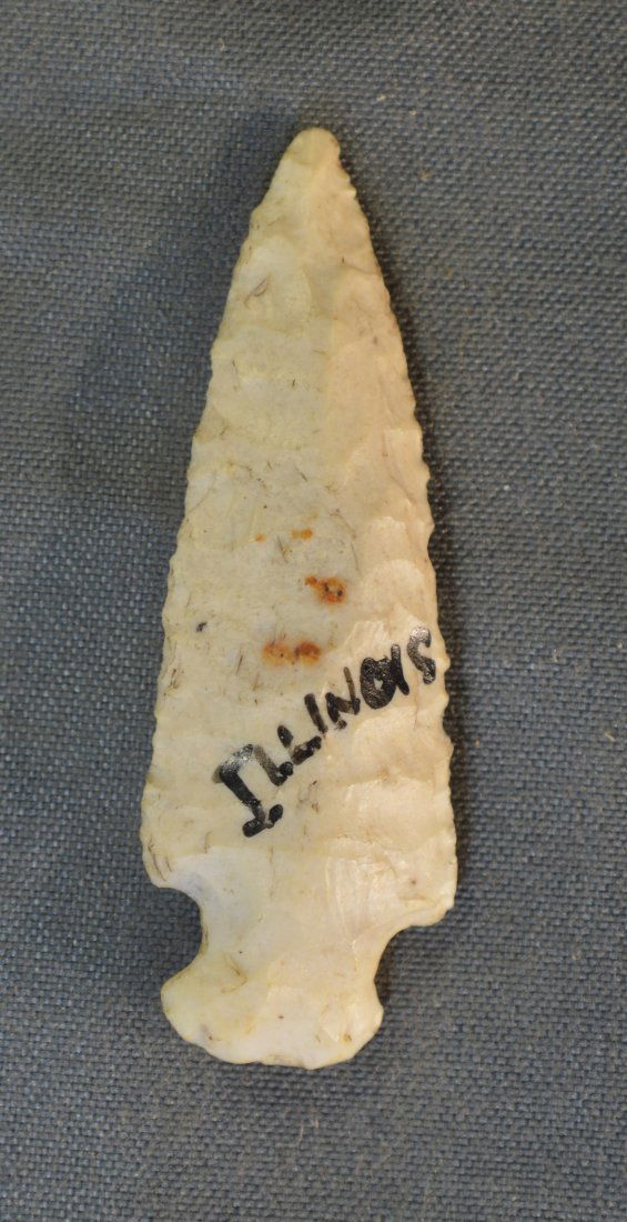 1  5/8 " Scallorn Bird Point (1 of 6)