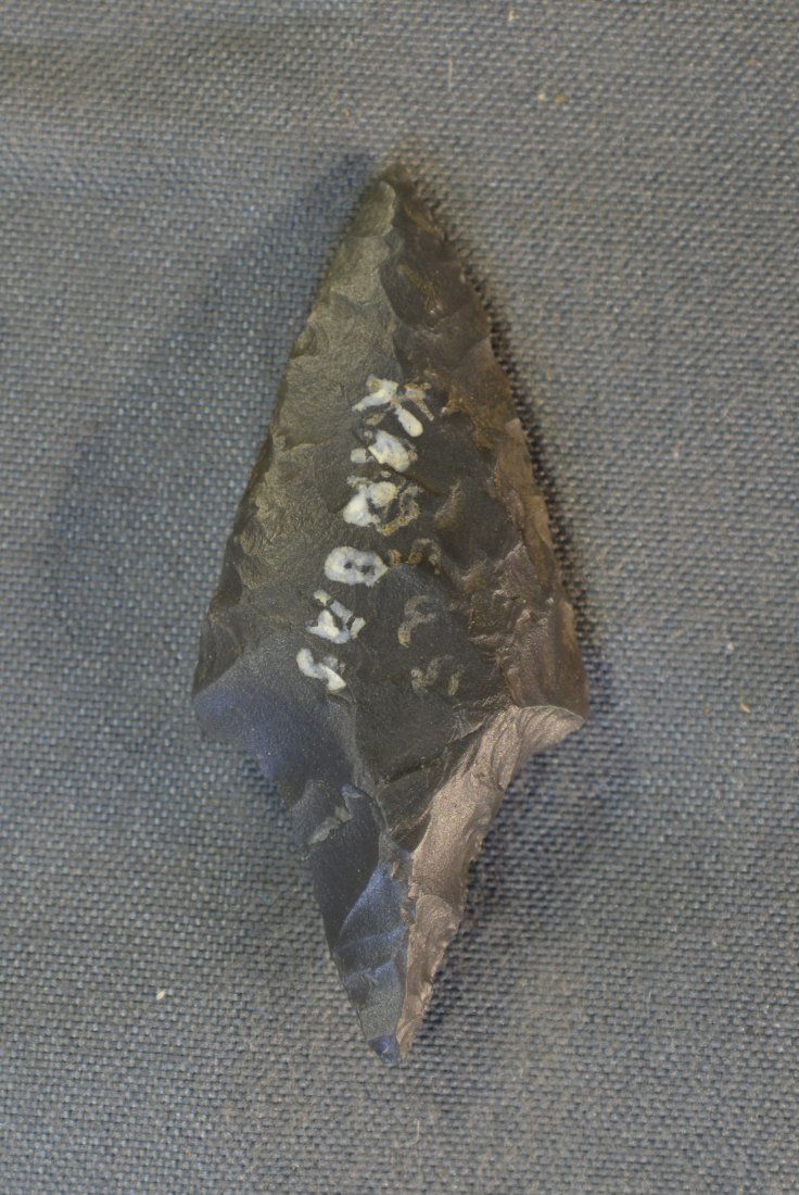 1  1/2" Bird Point (1 of 6)