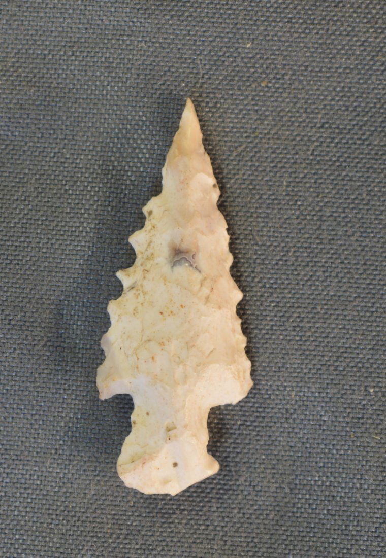 1  1/8" Sequoyah Bird Point (1 of 6)