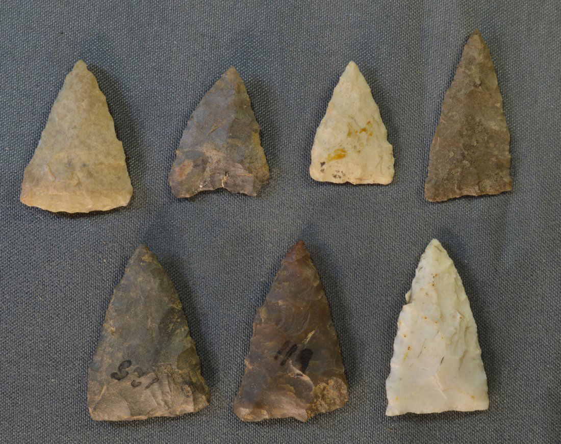 7 Madison Bird Points (1 of 4)