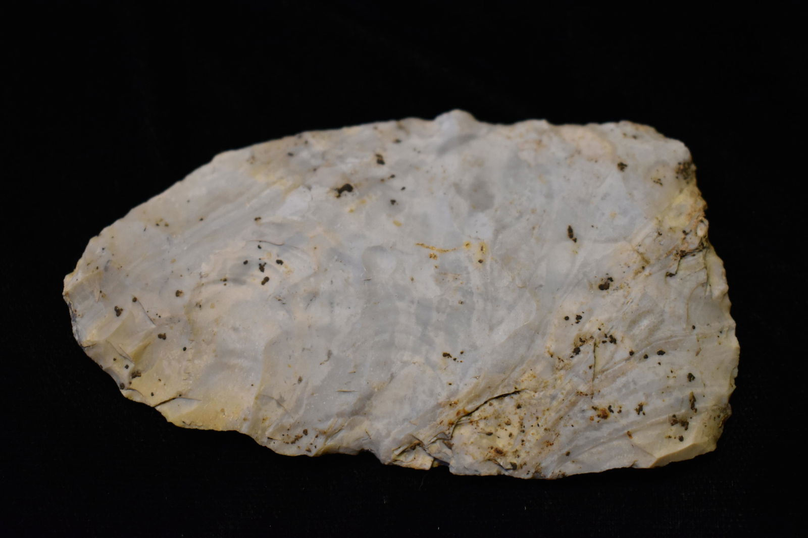 3 1/4" Thin Mozarkite Blade (1 of 4)