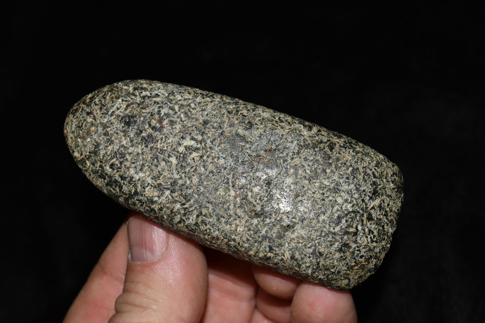 3 5/8" Speckled Granite Celt (1 of 5)