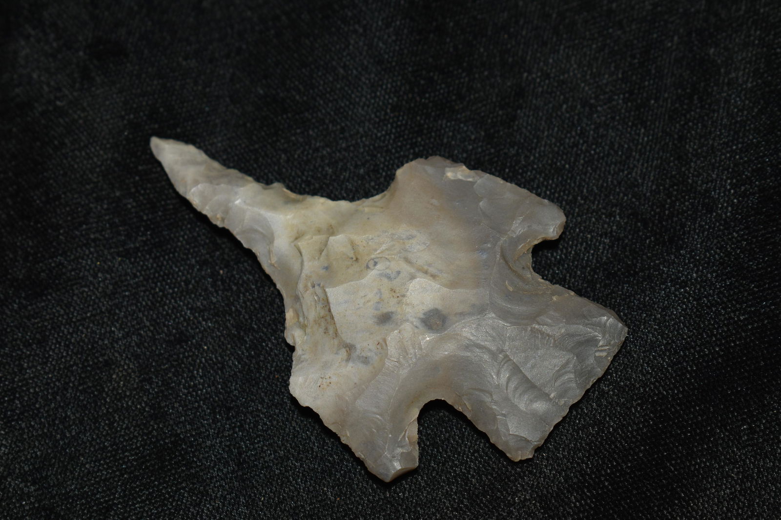 2 3/4" Outstanding Harvester Etley Drill (1 of 5)