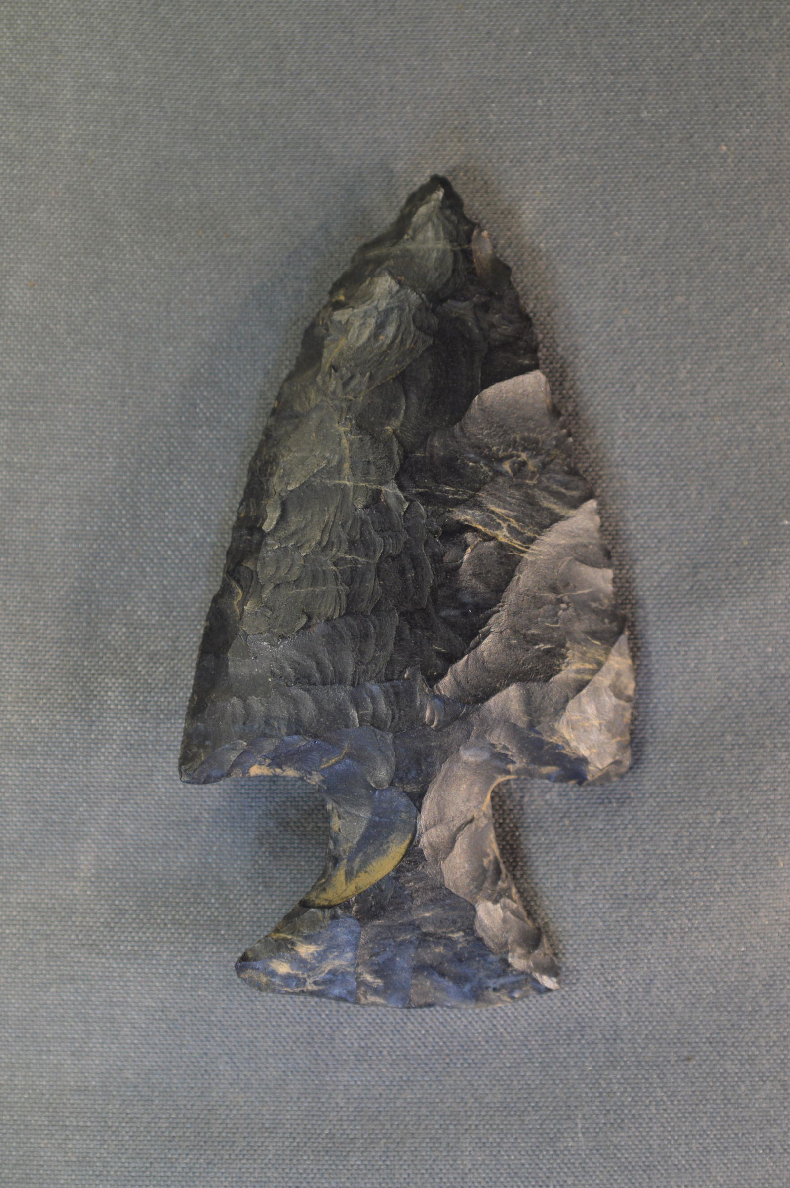 2  1/2" Motley Arrowhead (1 of 6)